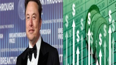 Elon Musk Made Bumper Earnings