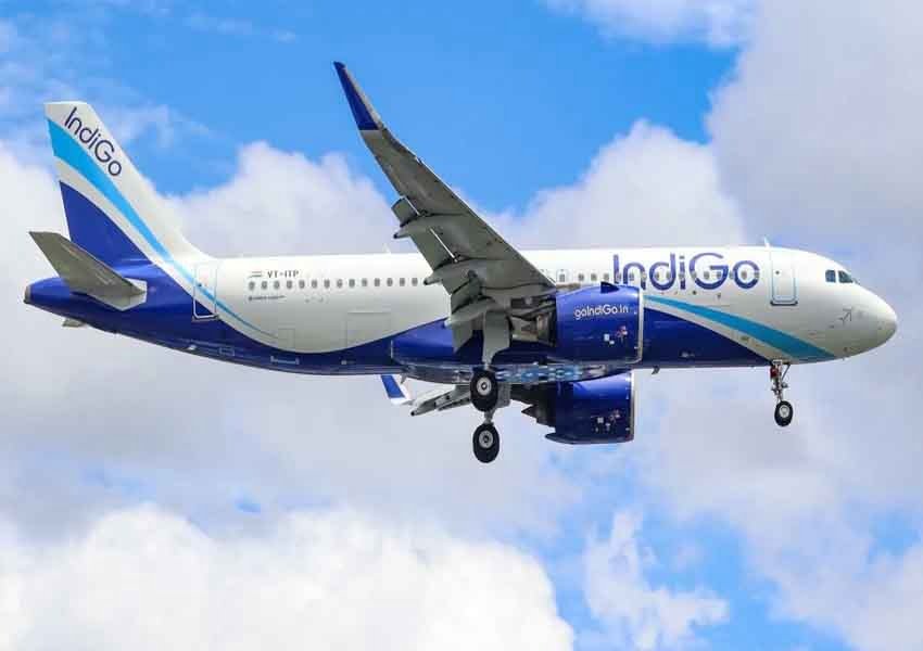 Indigo-plane