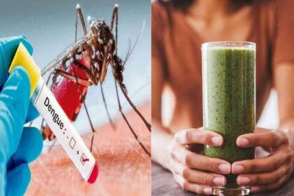 Dengue Home Remedies
