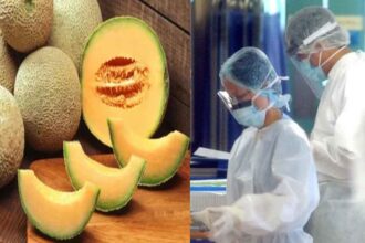 Salmonella Infection Melon became the cause of infectious disease