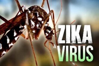 Zika infection, get treatment in government hospitals.