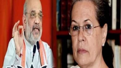 Amit Shah Targeted Sonia Gandhi