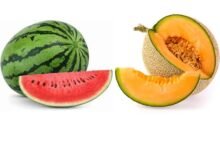 Watermelon and Muskmelon Benefits