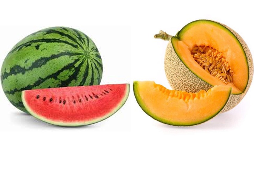 Watermelon and Muskmelon Benefits