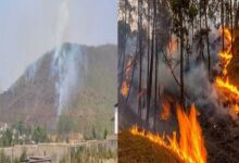 Jamshedpur Baliguma Forests Massive Fire