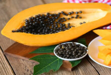 Papaya Seeds Benefit