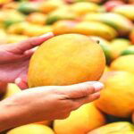 Artificially Ripened Mangoes Seized