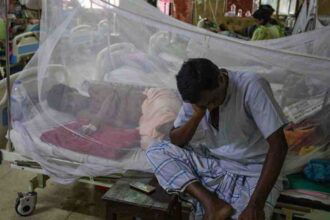 Dengue is Spreading Rapidly in this District of Jharkhand